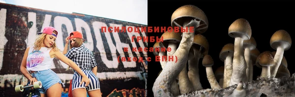 spice Армянск