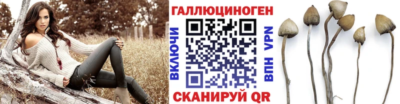 Псилоцибиновые грибы прущие грибы где найти Кувшиново
